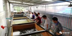 佛山市第三生態(tài)環(huán)境督察組對(duì)順德企業(yè)開展現(xiàn)場(chǎng)督察