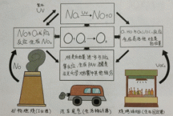 東鴻環(huán)保知識(shí)課堂25：近地面的O?，臭氧是如何形成的呢?